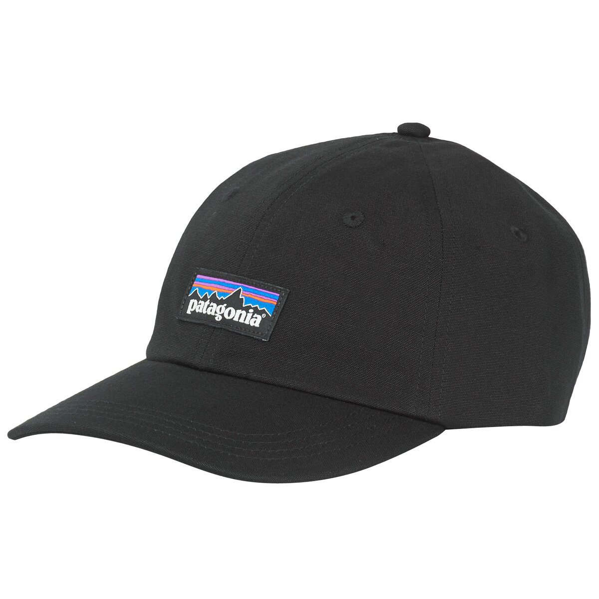 Patagonia Accesorii textile P-6 LABEL TRAD CAP
