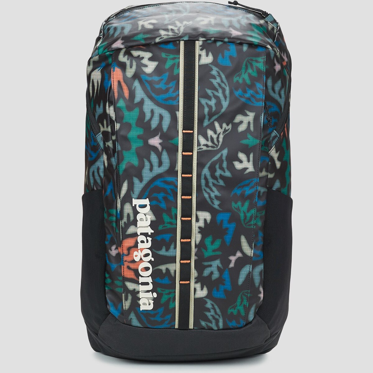 Patagonia Genti BLACK HOLE PACK 25L