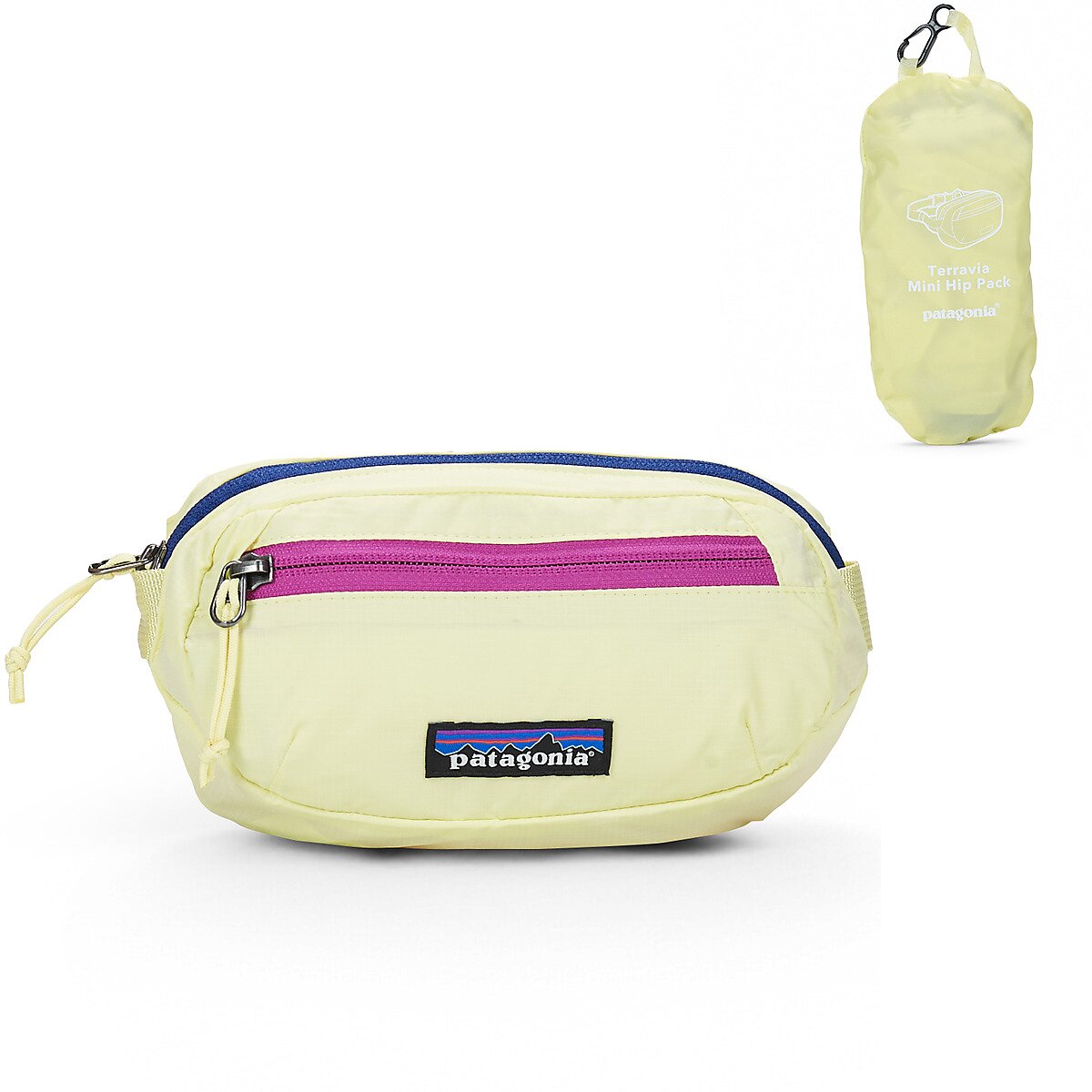 Patagonia Genti TERRAVIA MINI HIP PACK