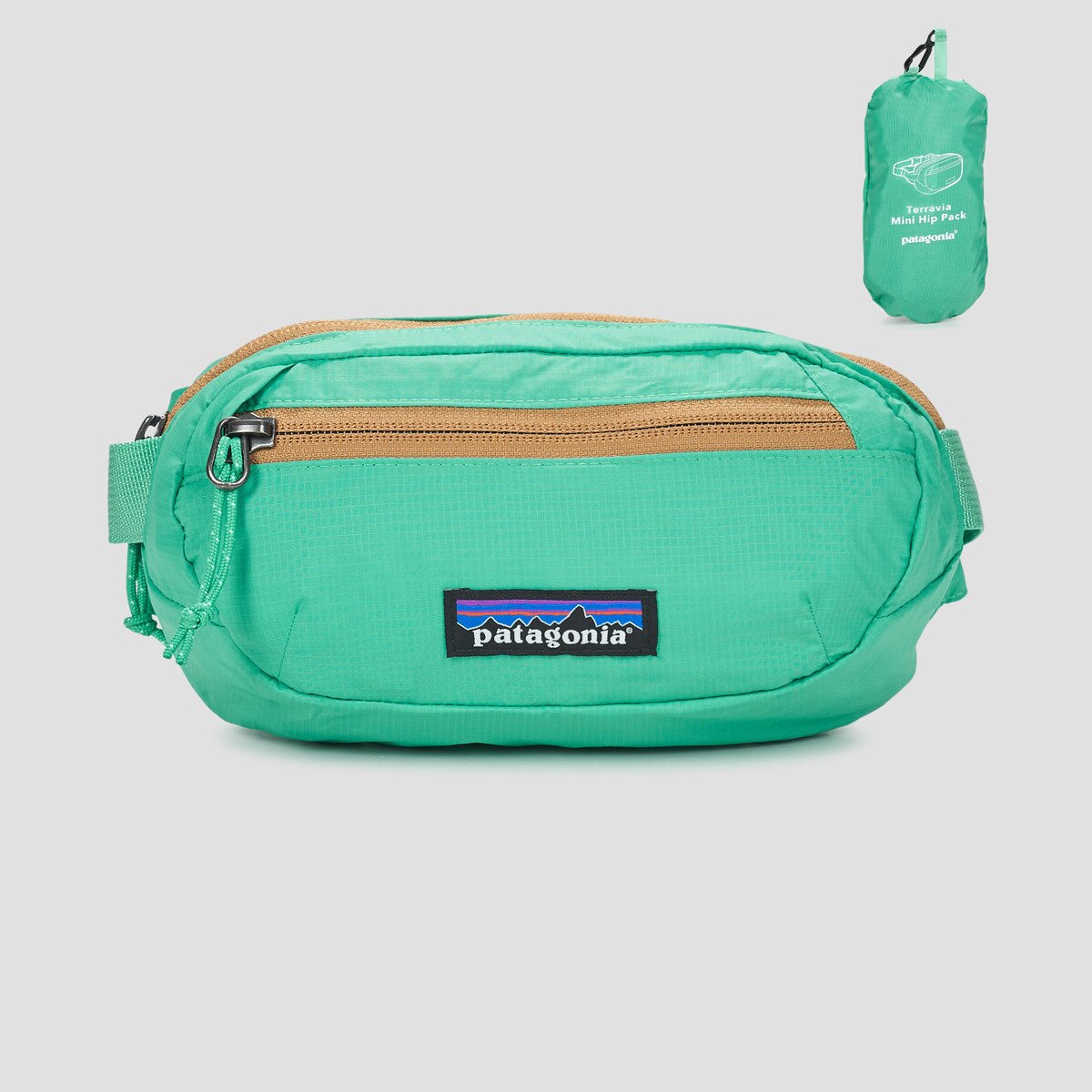 Patagonia Genti TERRAVIA MINI HIP PACK