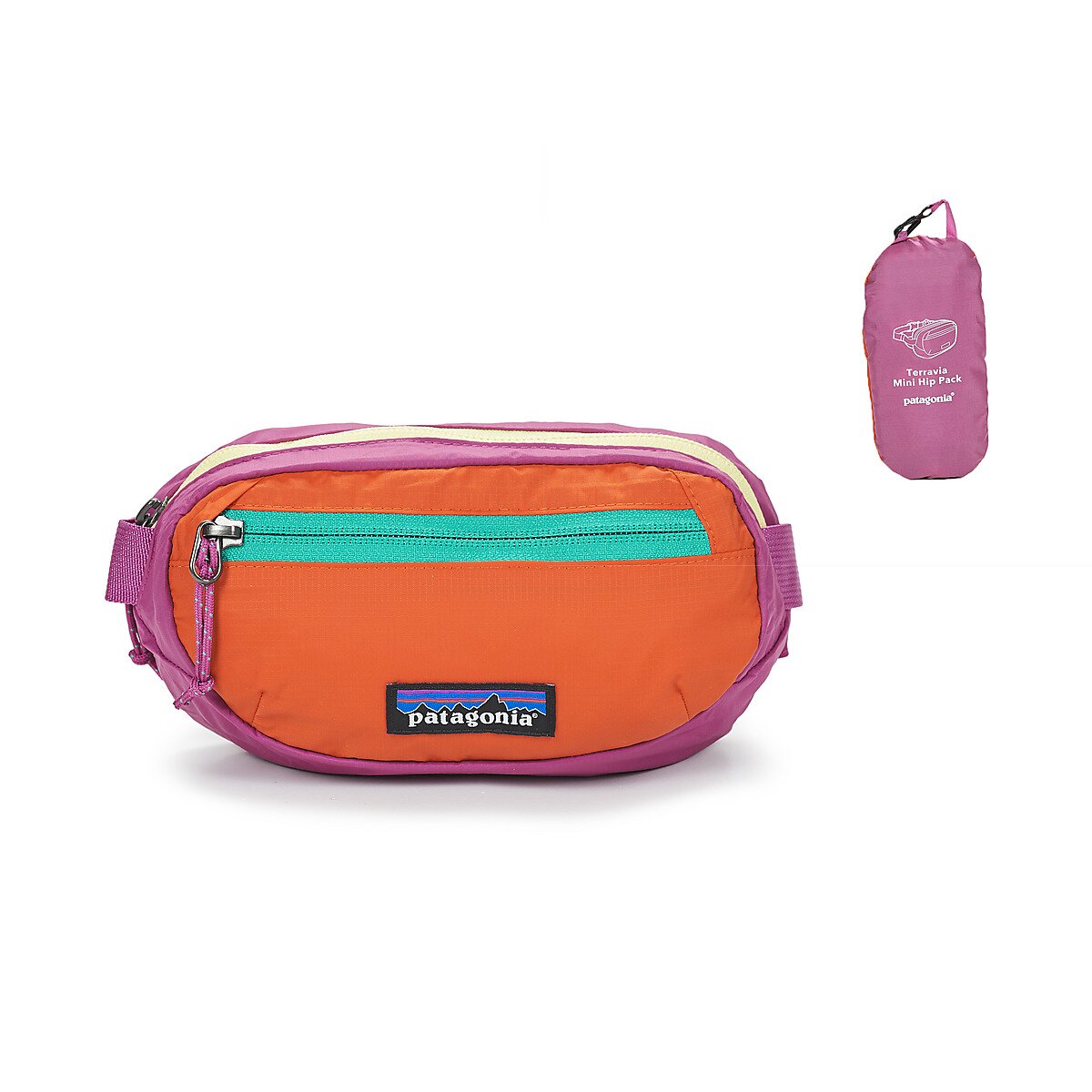 Patagonia Genti TERRAVIA MINI HIP PACK