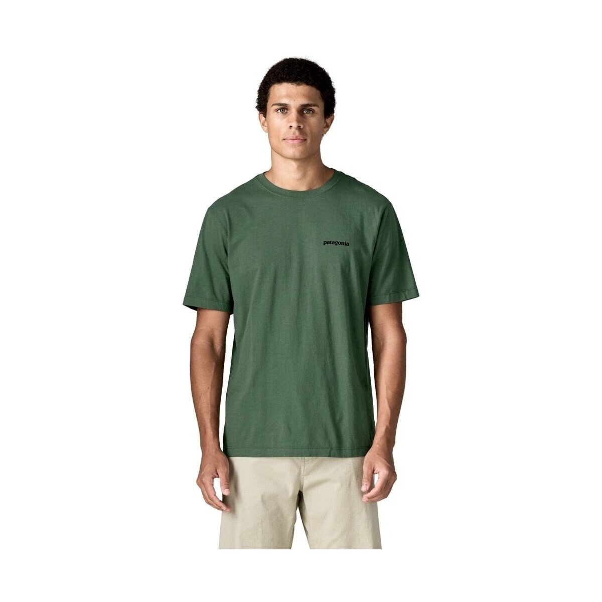 Patagonia Îmbracaminte P-6 Logo T-Shirt - Canopy Green