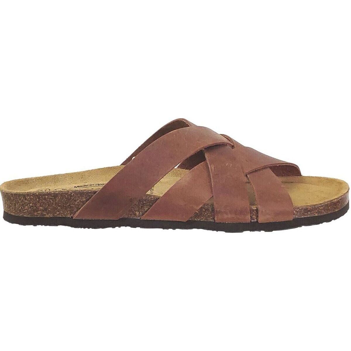 Plakton Pantofi Bad