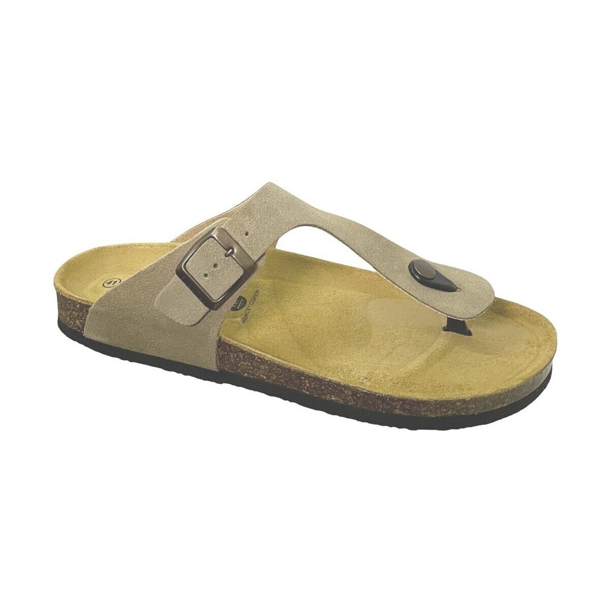 Plakton Pantofi Bolero