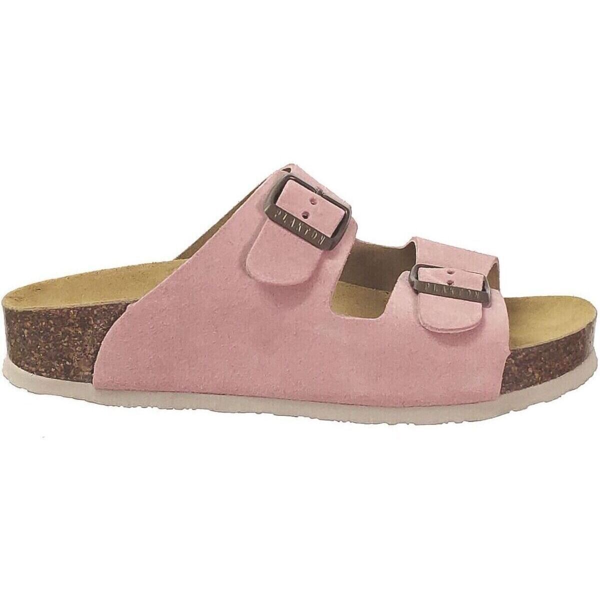 Plakton Pantofi Cp beta