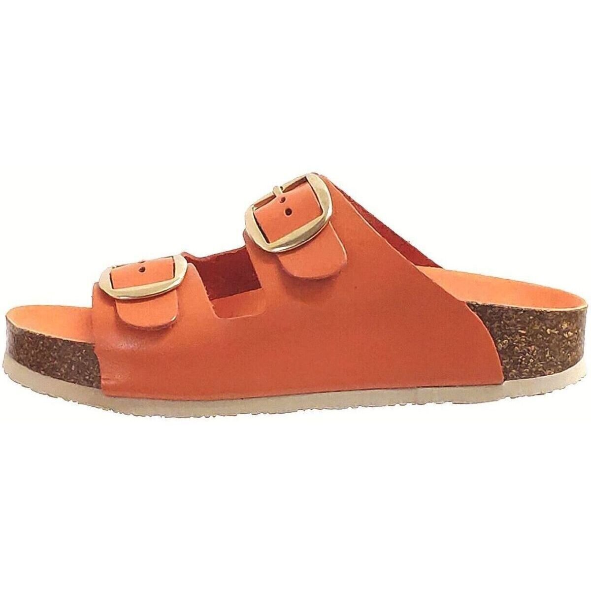 Plakton Pantofi Cp beta mic square