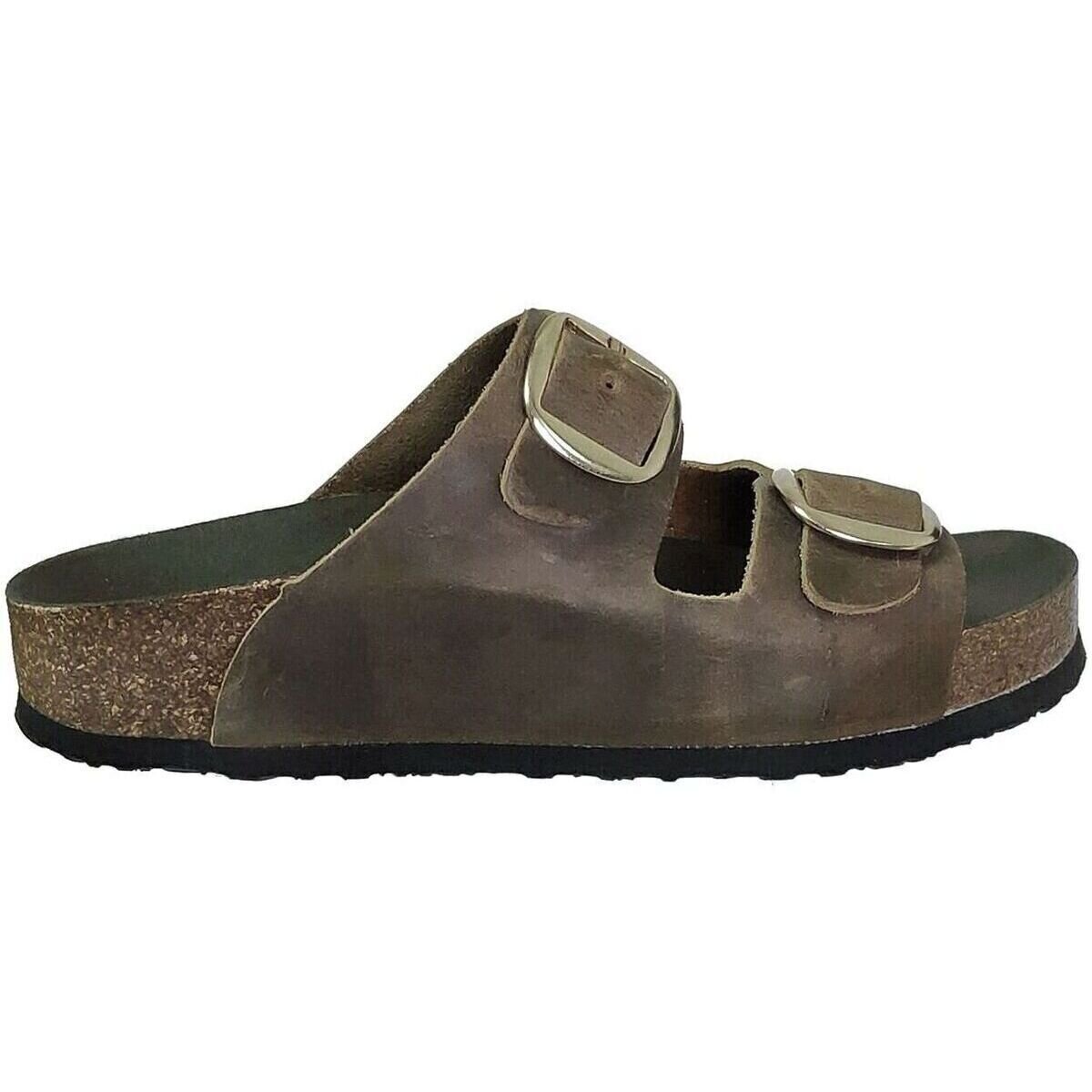 Plakton Pantofi Cp beta mic square
