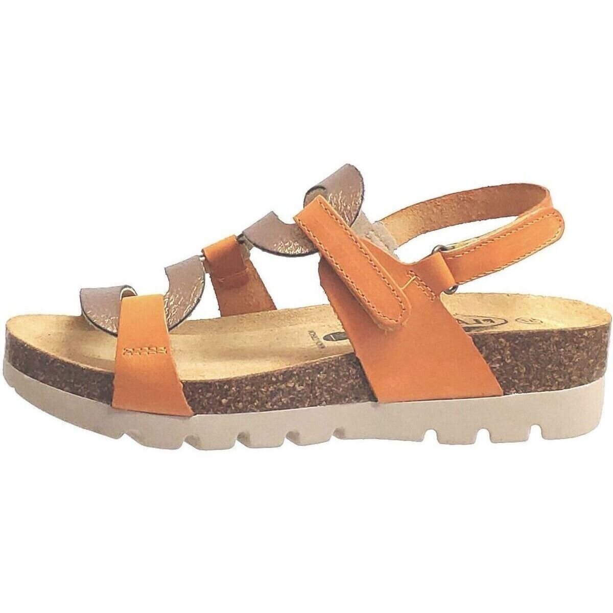 Plakton Pantofi Curvi