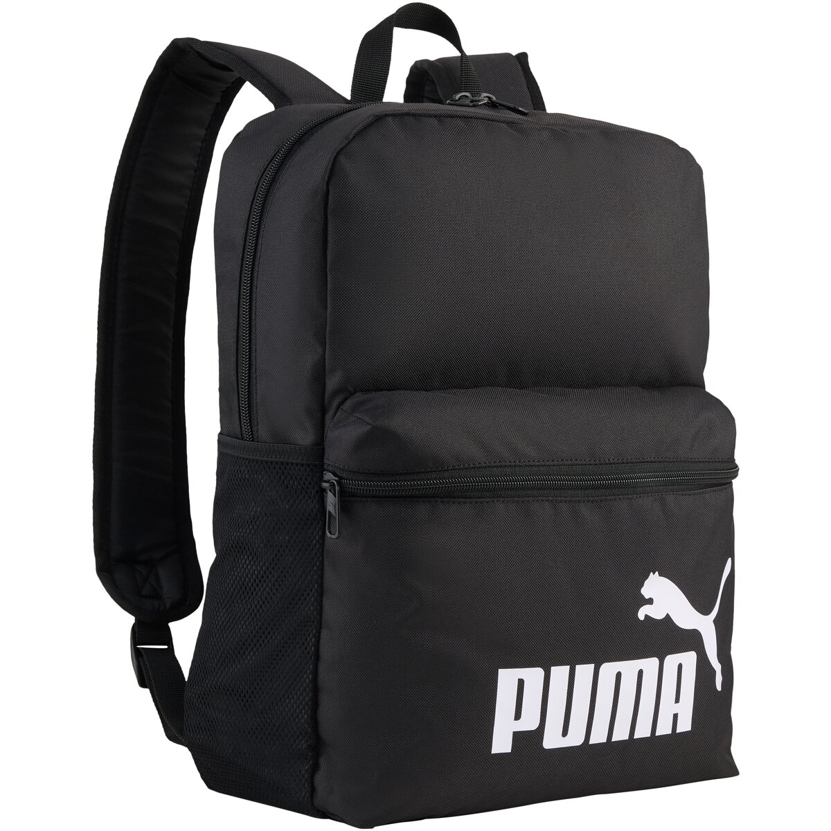 Puma Genti 294125