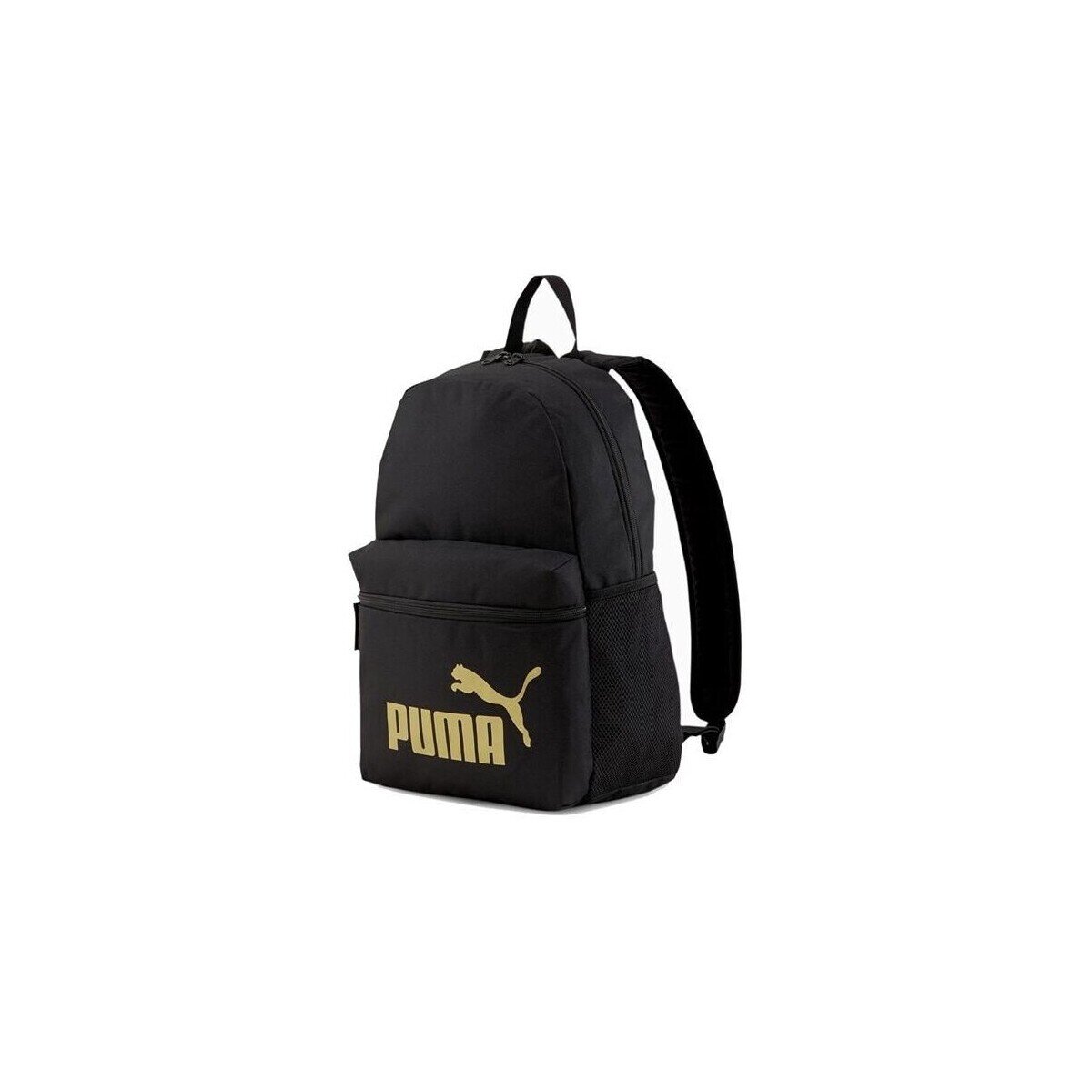 Puma Genti Phase