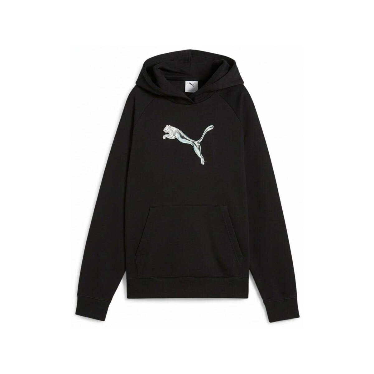 Puma Îmbracaminte 69491101 Standard Hoodie