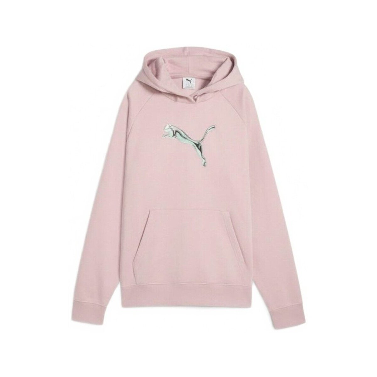 Puma Îmbracaminte 69491149 Standard Hoodie