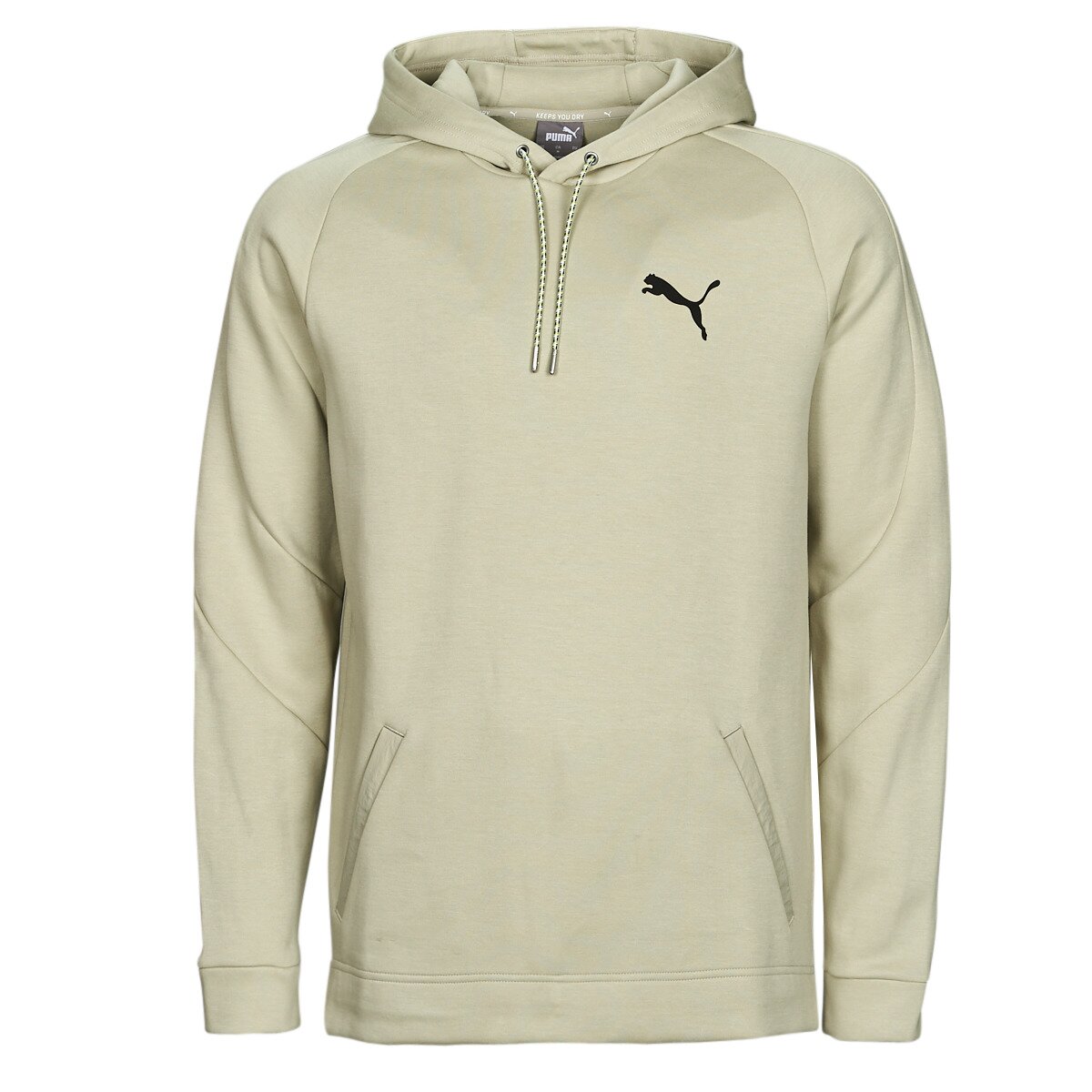 Puma Îmbracaminte DAY IN MOTION HOODIE DK