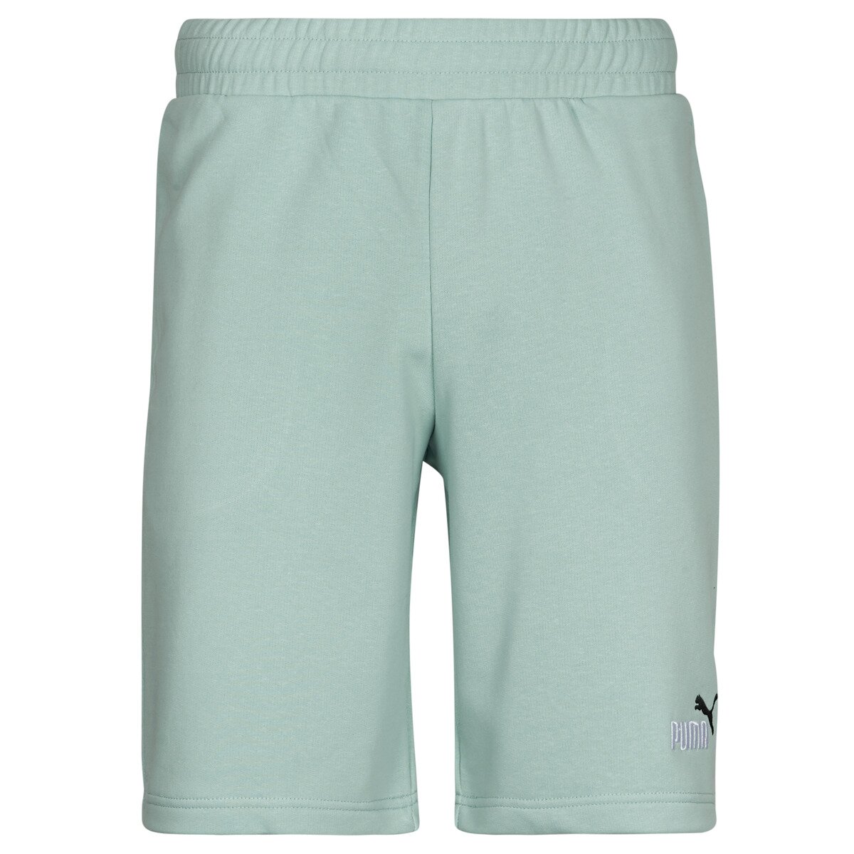 Puma Îmbracaminte ESS 2 COLOR LOGO SHORT
