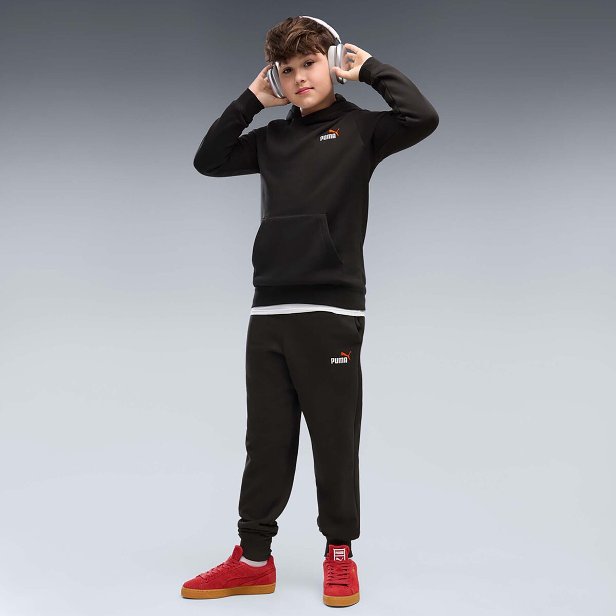 Puma Îmbracaminte Ess 2 Color Small No. 1 Logo Hoodie Fl B