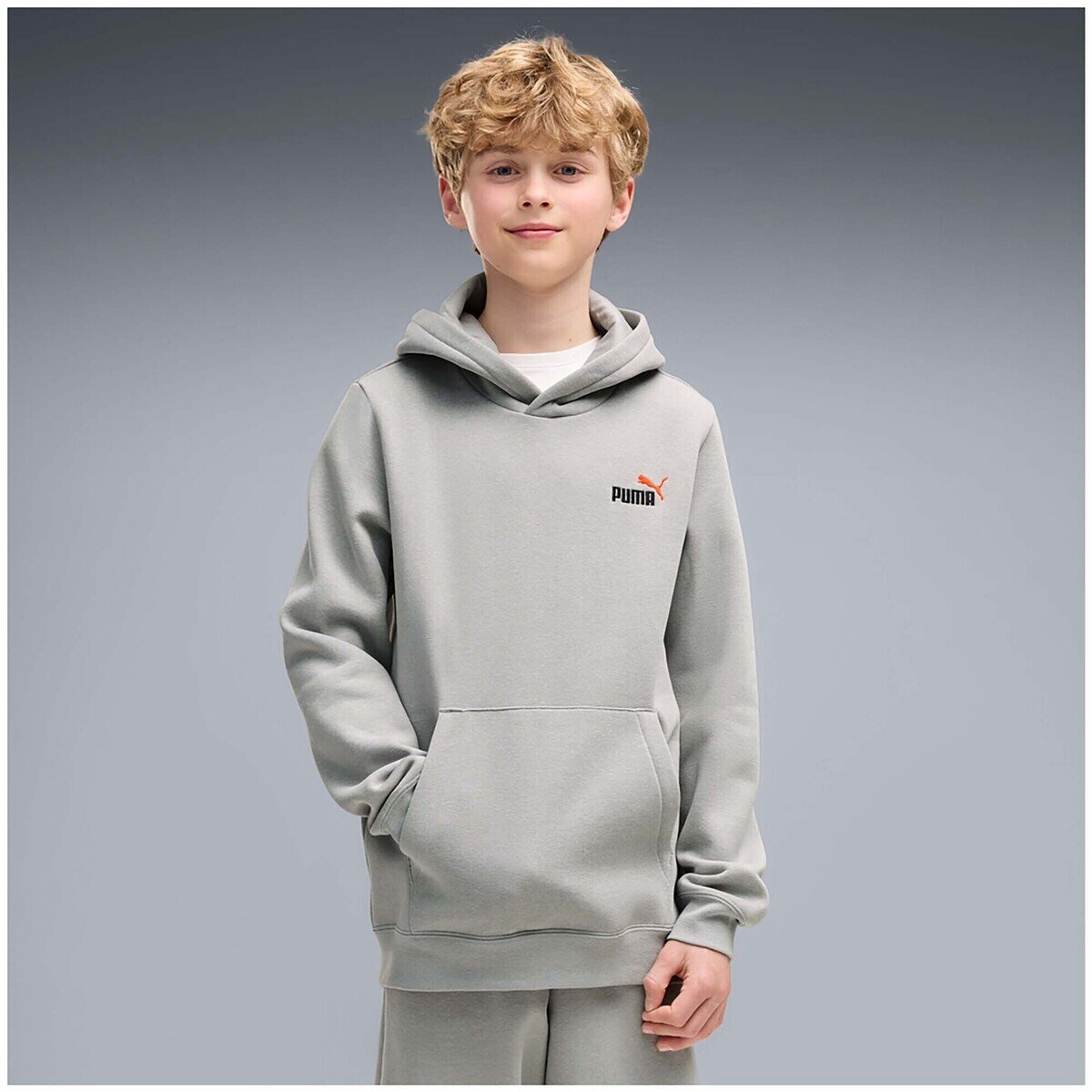 Puma Îmbracaminte Ess 2 Color Small No. 1 Logo Hoodie Fl B