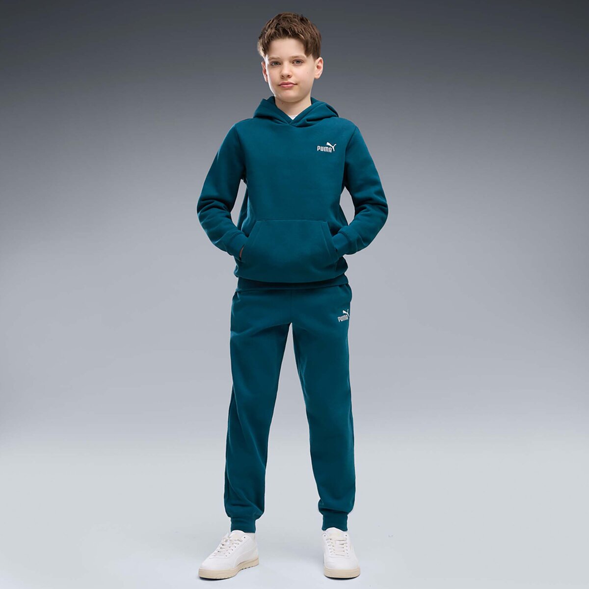 Puma Îmbracaminte Ess 2 Color Small No. 1 Logo Hoodie Fl B
