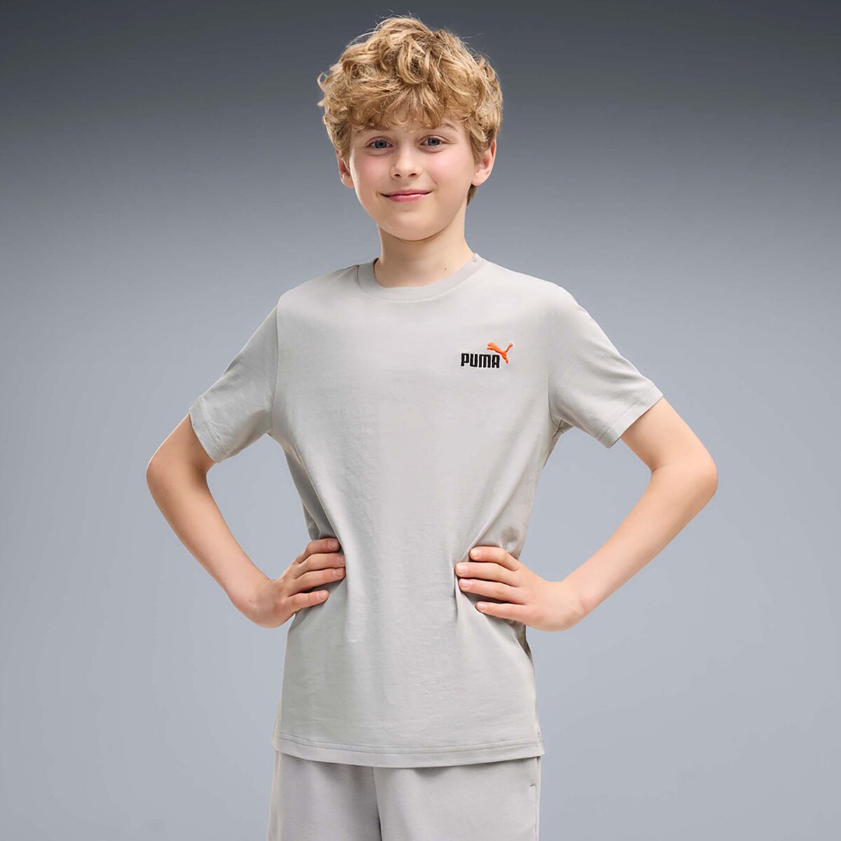 Puma Îmbracaminte Ess 2 Color Small No. 1 Logo Tee B