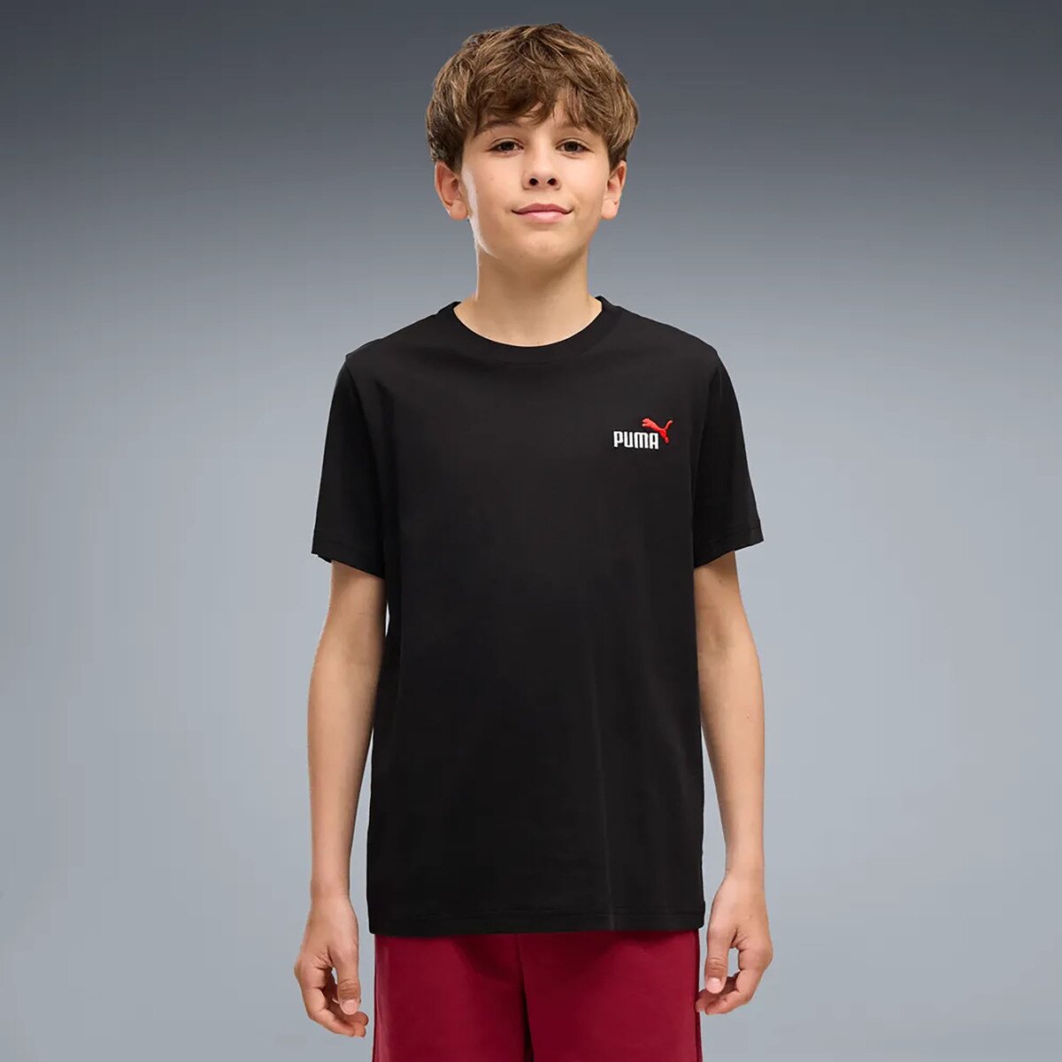 Puma Îmbracaminte Ess 2 Color Small No. 1 Logo Tee B