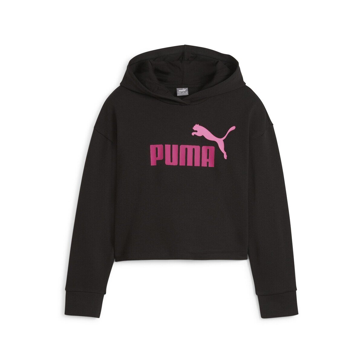 Puma Îmbracaminte ESS 2COLOR HOODIE