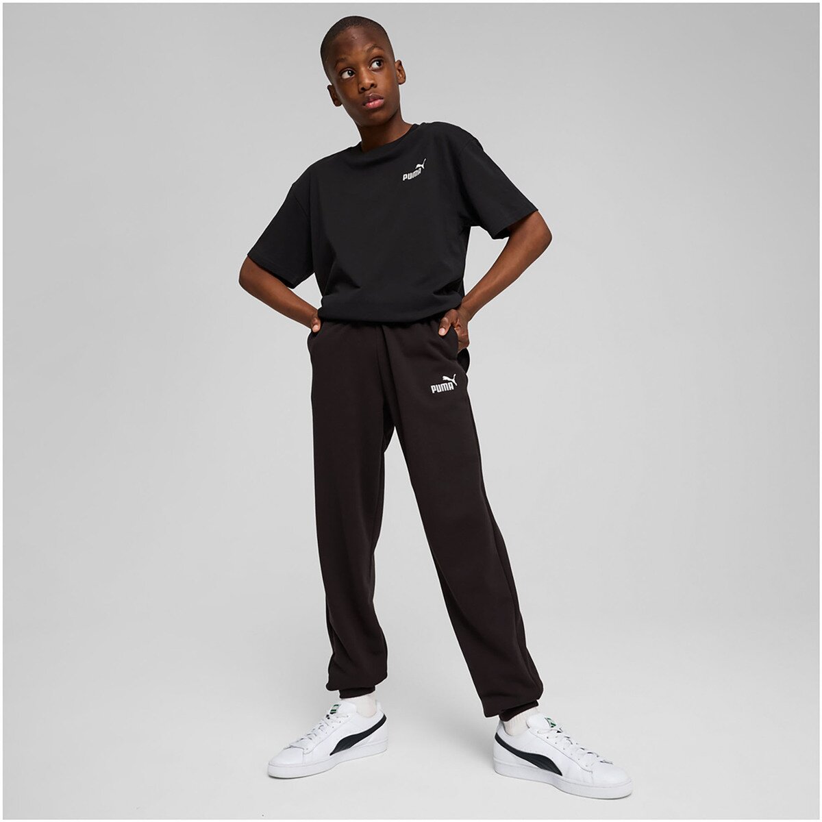 Puma Îmbracaminte Ess No. 1 Logo Sweatpants Tr B