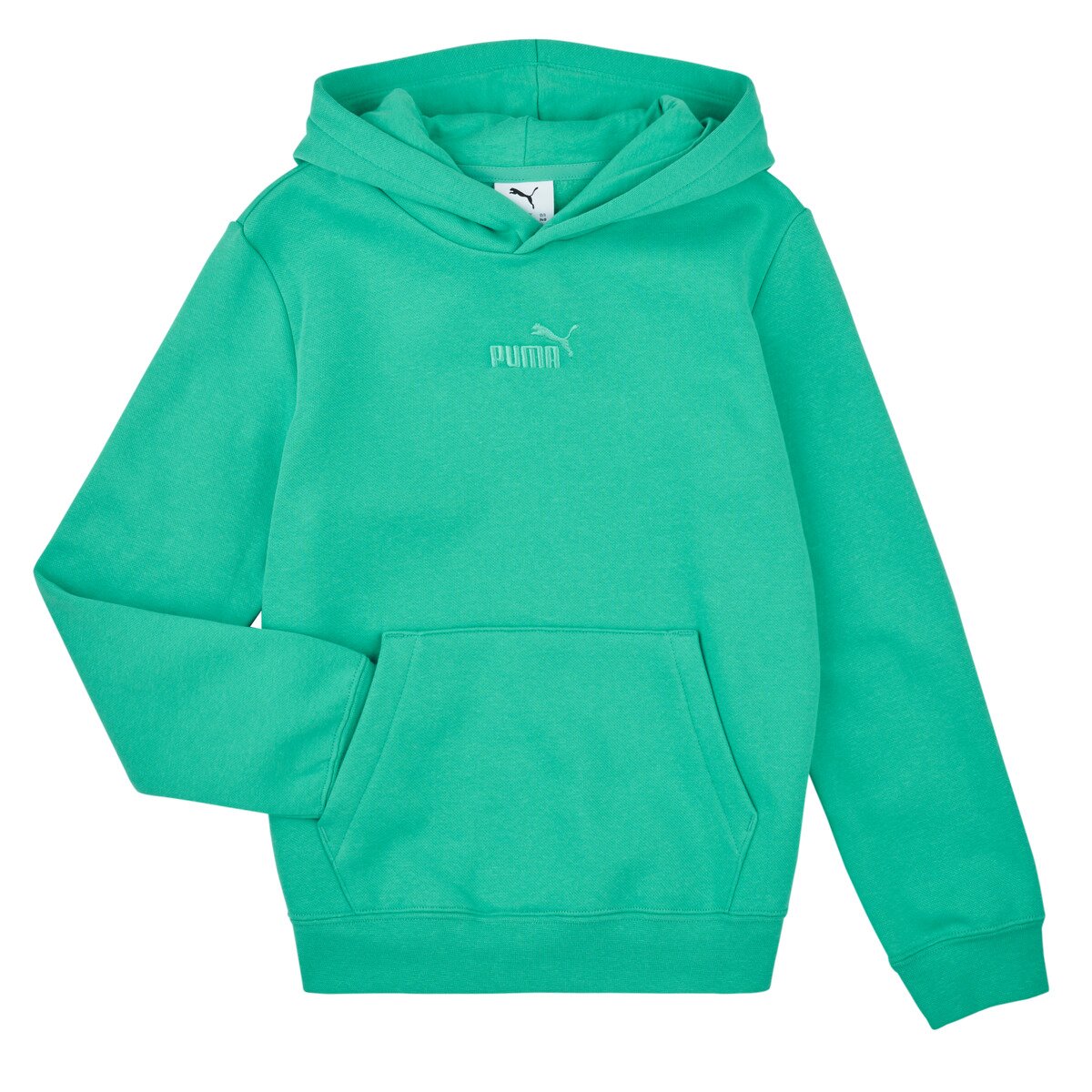 Puma Îmbracaminte ESS Small No.1 Logo Centered Hoodie FL
