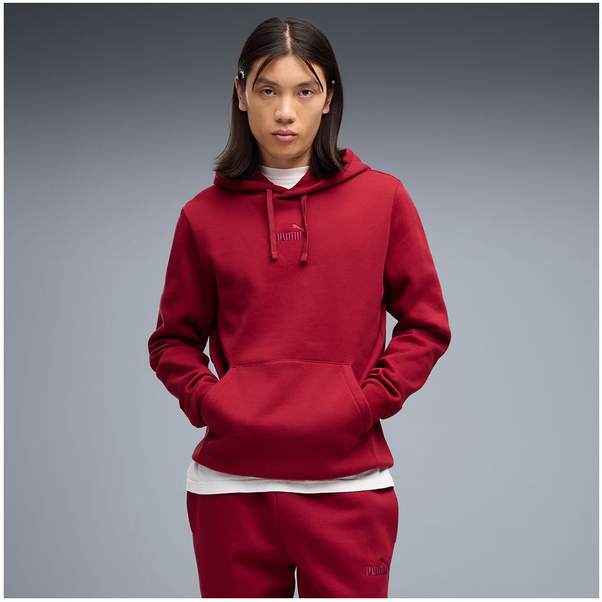 Puma Îmbracaminte Ess Small No.1 Logo Centered Hoodie Fl