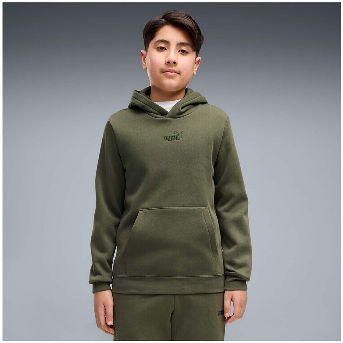 Puma Îmbracaminte Ess Small No.1 Logo Centered Hoodie Fl B