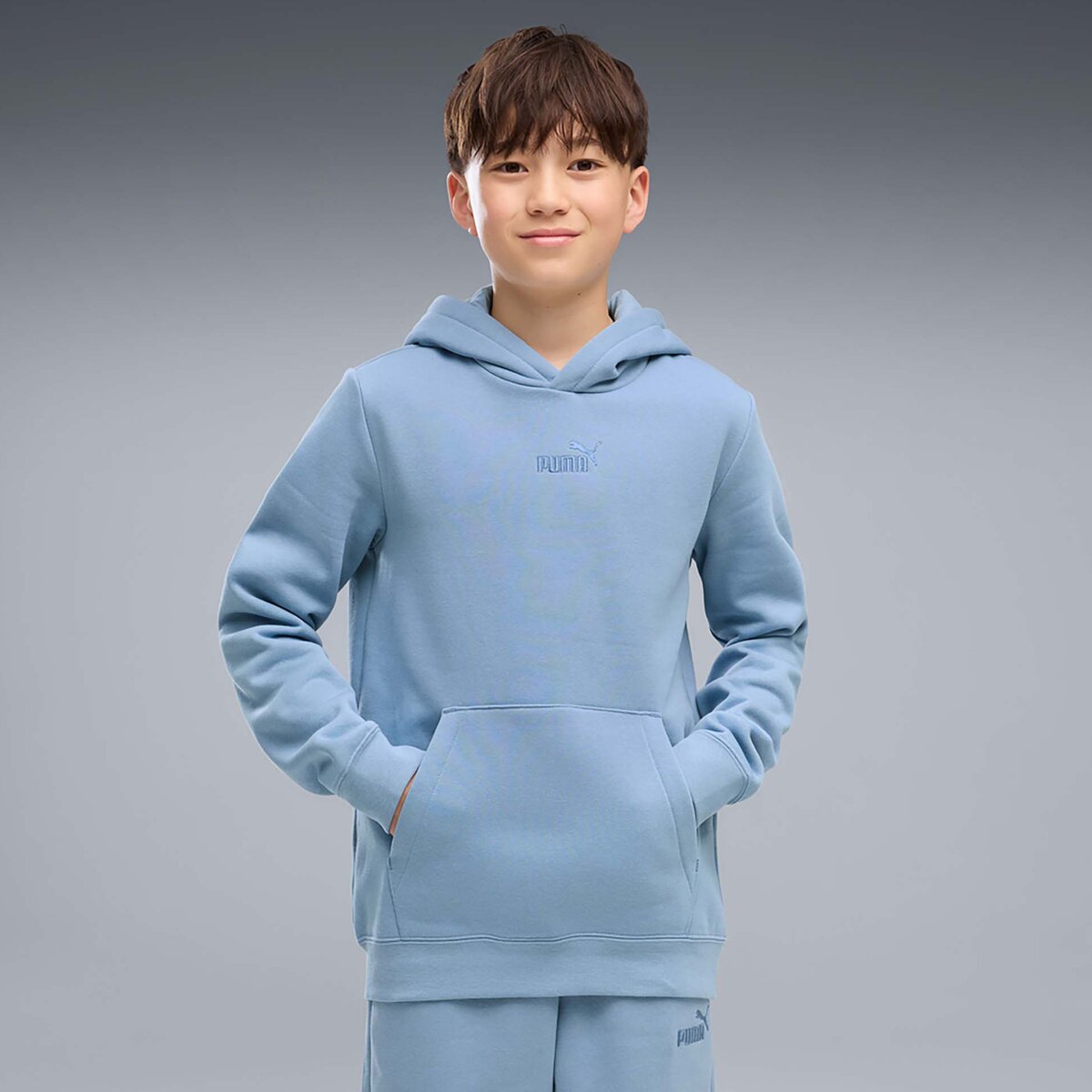 Puma Îmbracaminte Ess Small No.1 Logo Centered Hoodie Fl B
