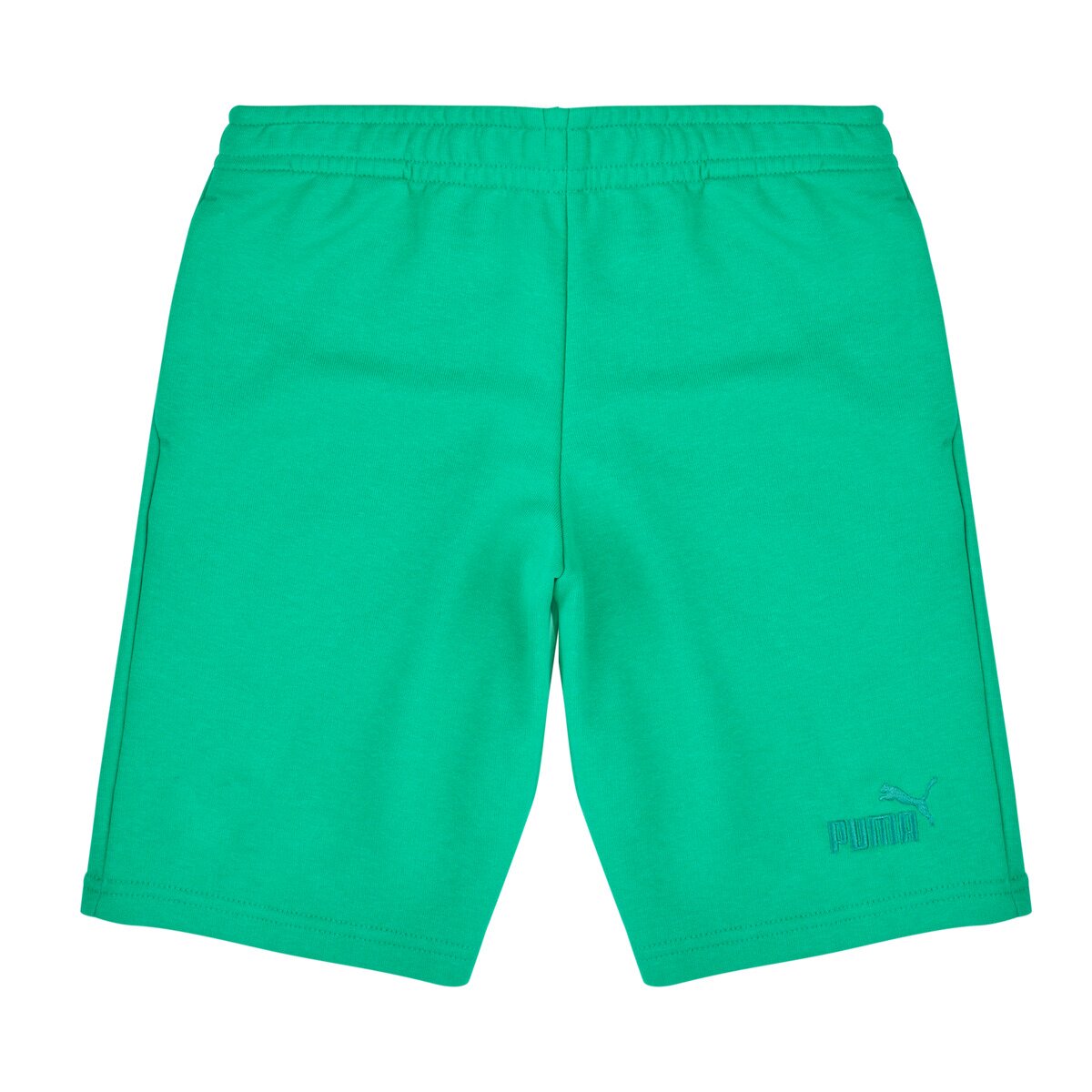 Puma Îmbracaminte ESS Small No.1 Logo Shorts TR