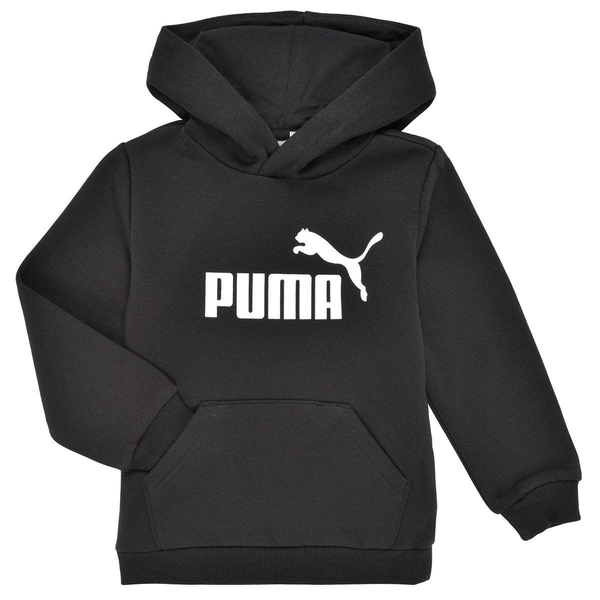 Puma Îmbracaminte ESSENTIAL BIG LOGO HOODIE