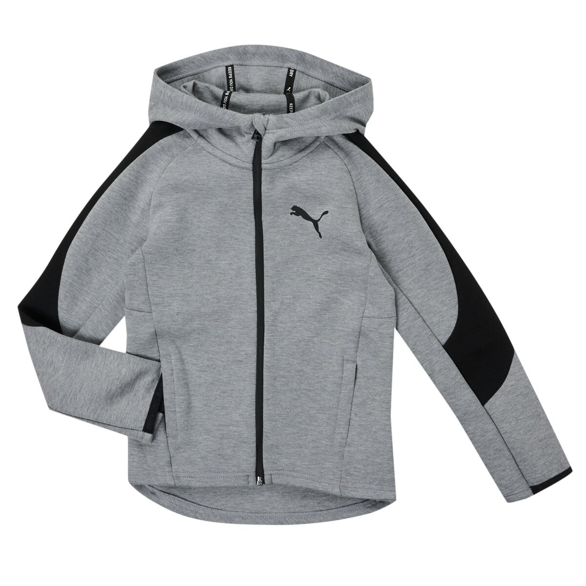 Puma Îmbracaminte EVOSTRIPE CORE FZ HOODIE