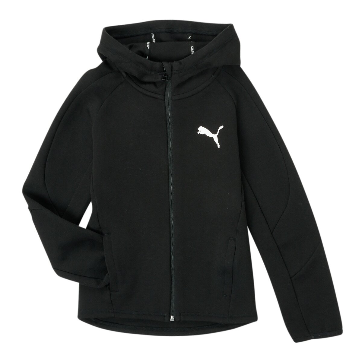 Puma Îmbracaminte EVOSTRIPE CORE FZ HOODIE