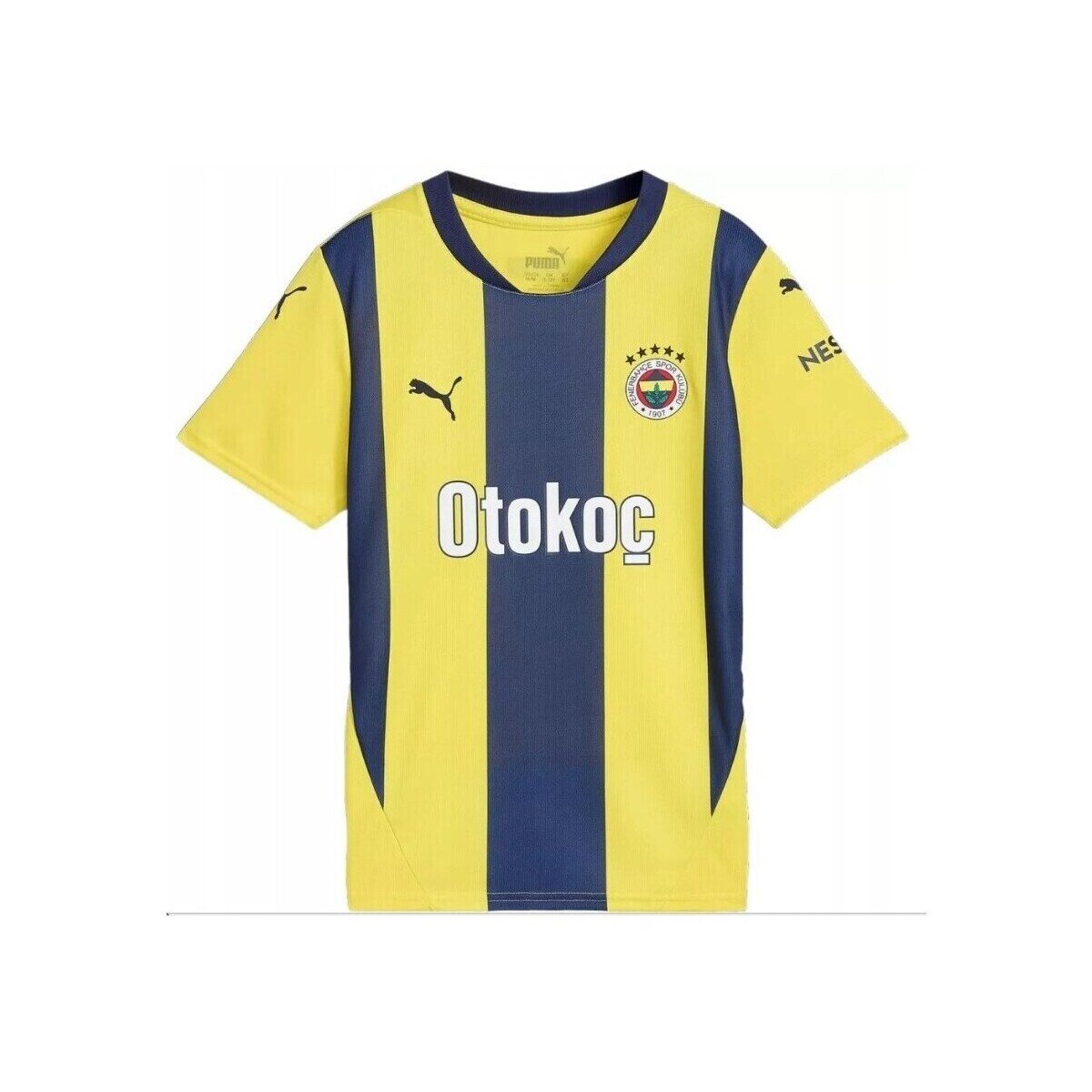 Puma Îmbracaminte FSK Home