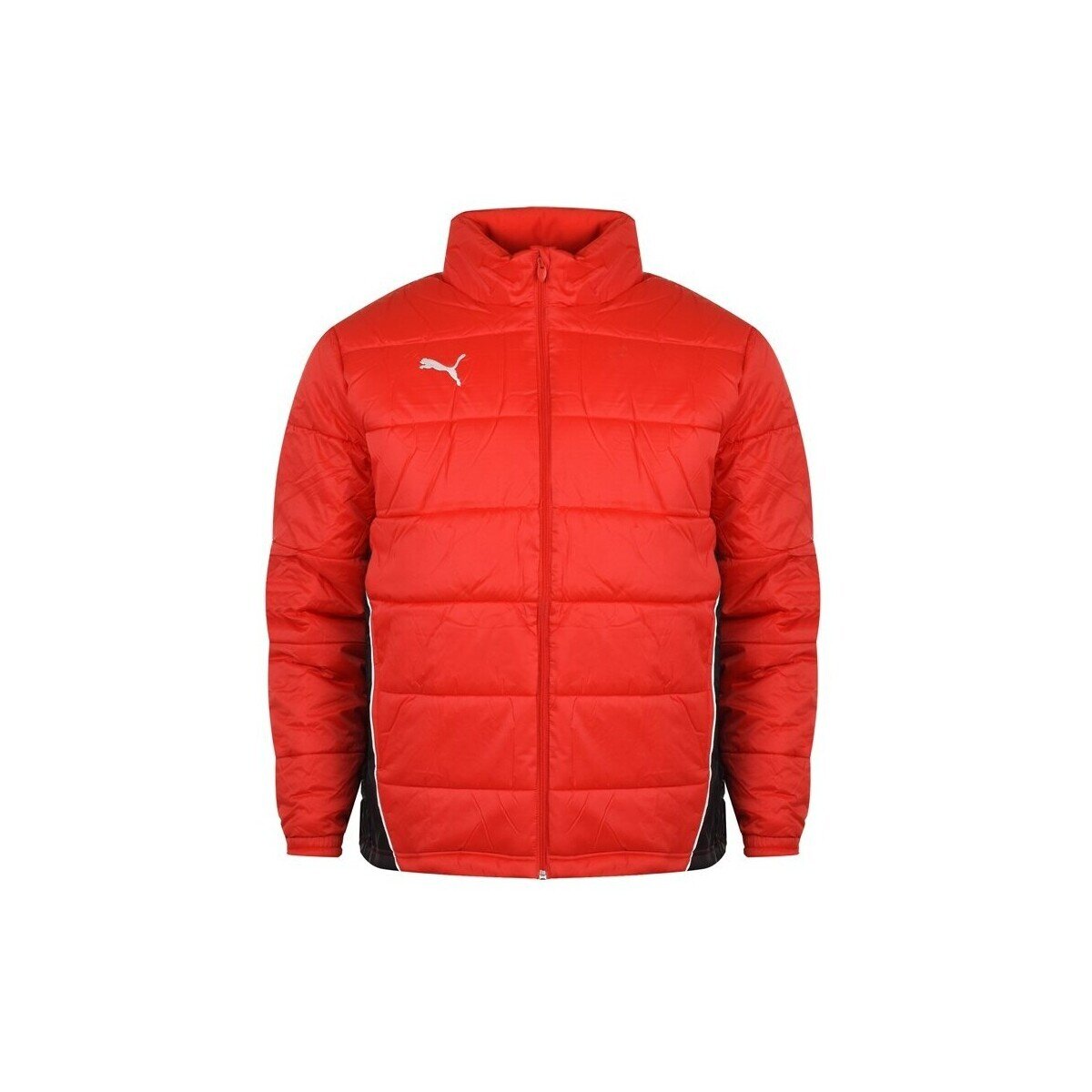 Puma Îmbracaminte Padded