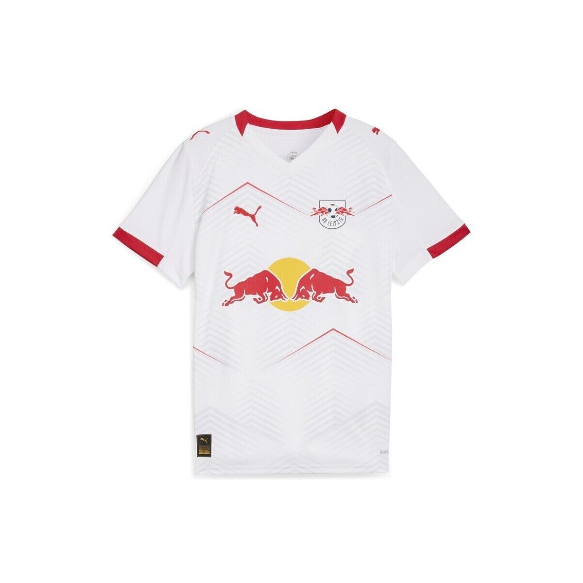 Puma Îmbracaminte Rbl