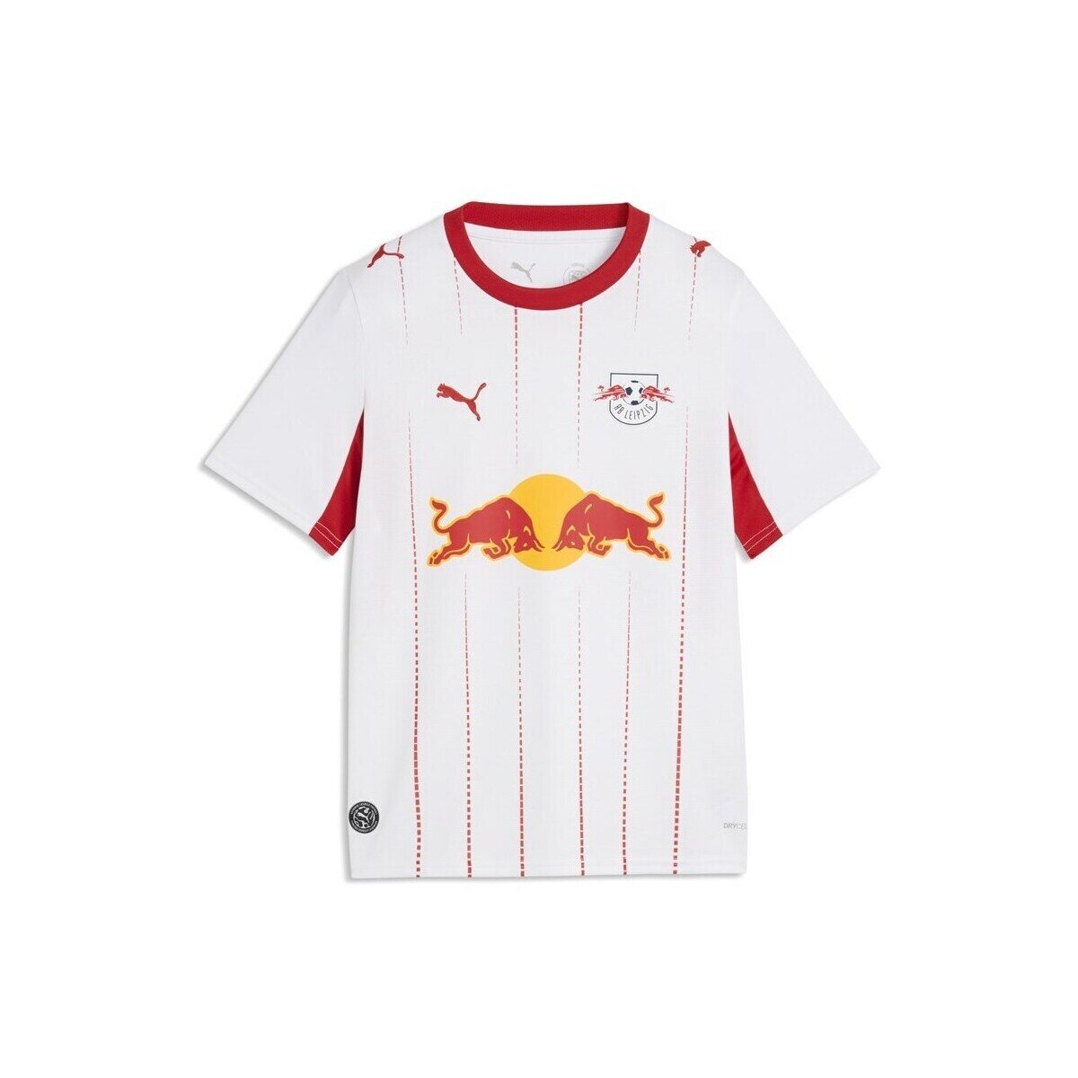 Puma Îmbracaminte RBL Home