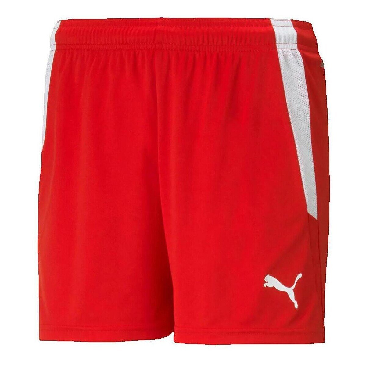 Puma Îmbracaminte Shorts Teamliga Rouge