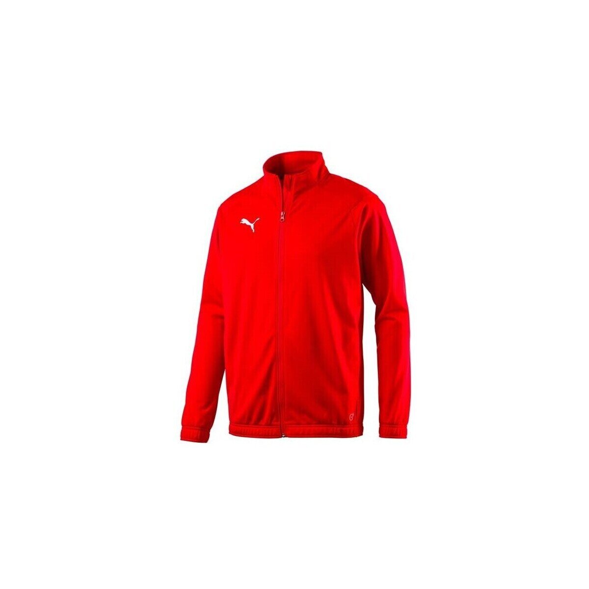 Puma Îmbracaminte Sideline