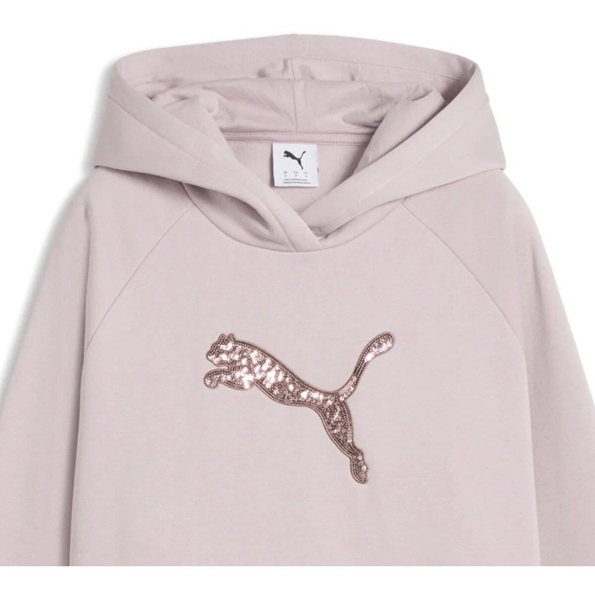 Puma Îmbracaminte Standard Hoodie