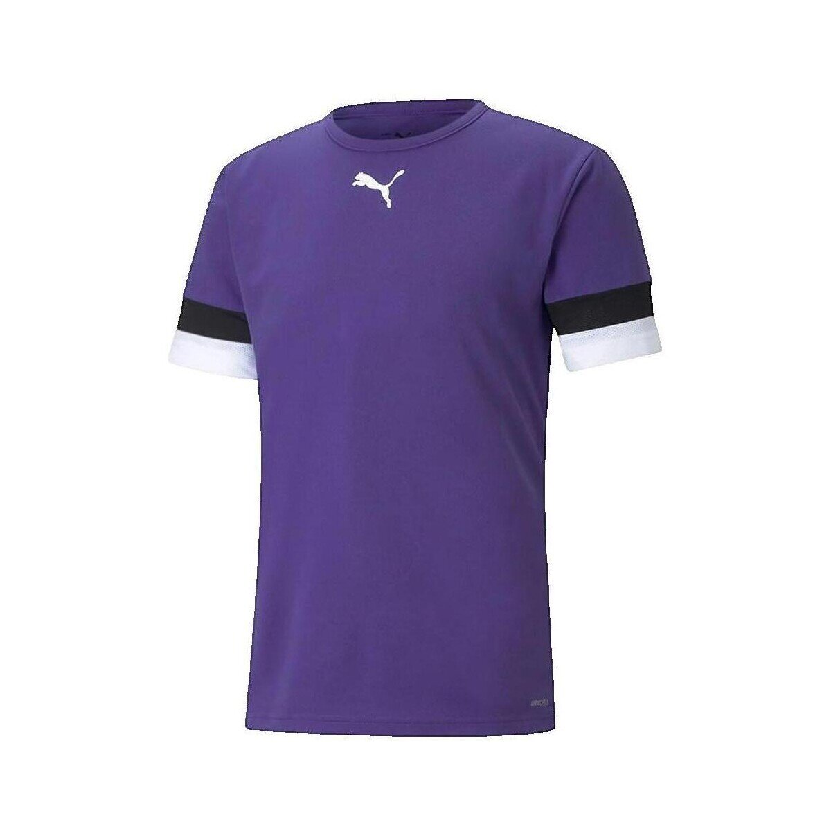 Puma Îmbracaminte T-shirt Teamrise Jersey violet