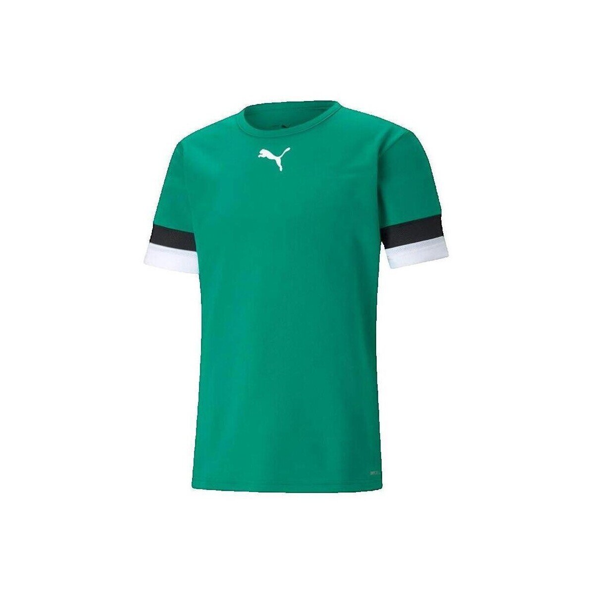 Puma Îmbracaminte T-shirt Teamrise Vert