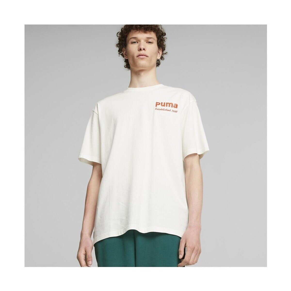 Puma Îmbracaminte Team Graphic Tee