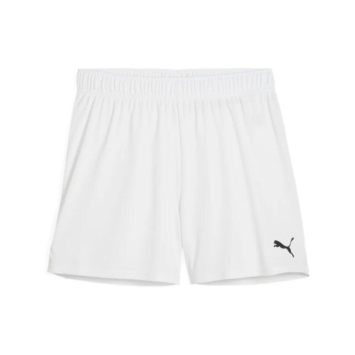 Puma Îmbracaminte TeamGOAL