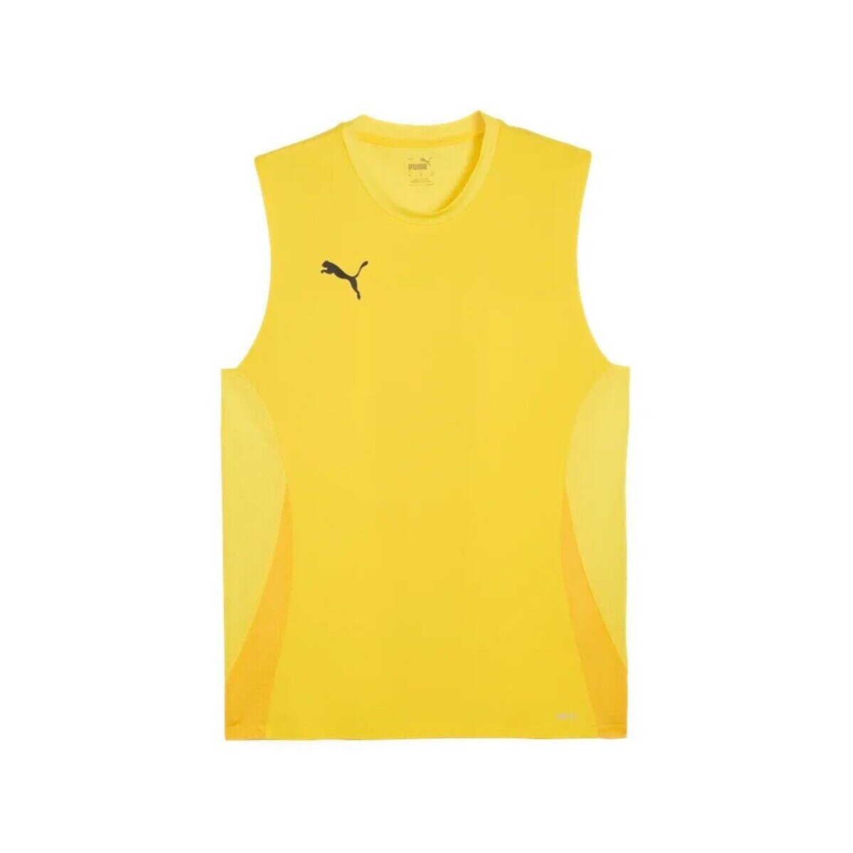 Puma Îmbracaminte TeamGOAL