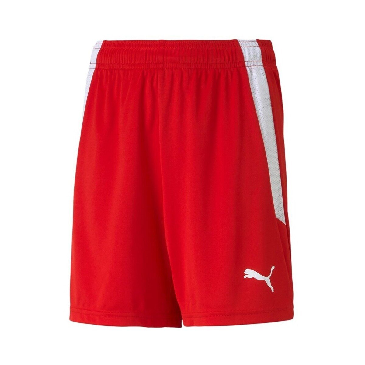 Puma Îmbracaminte Teamliga
