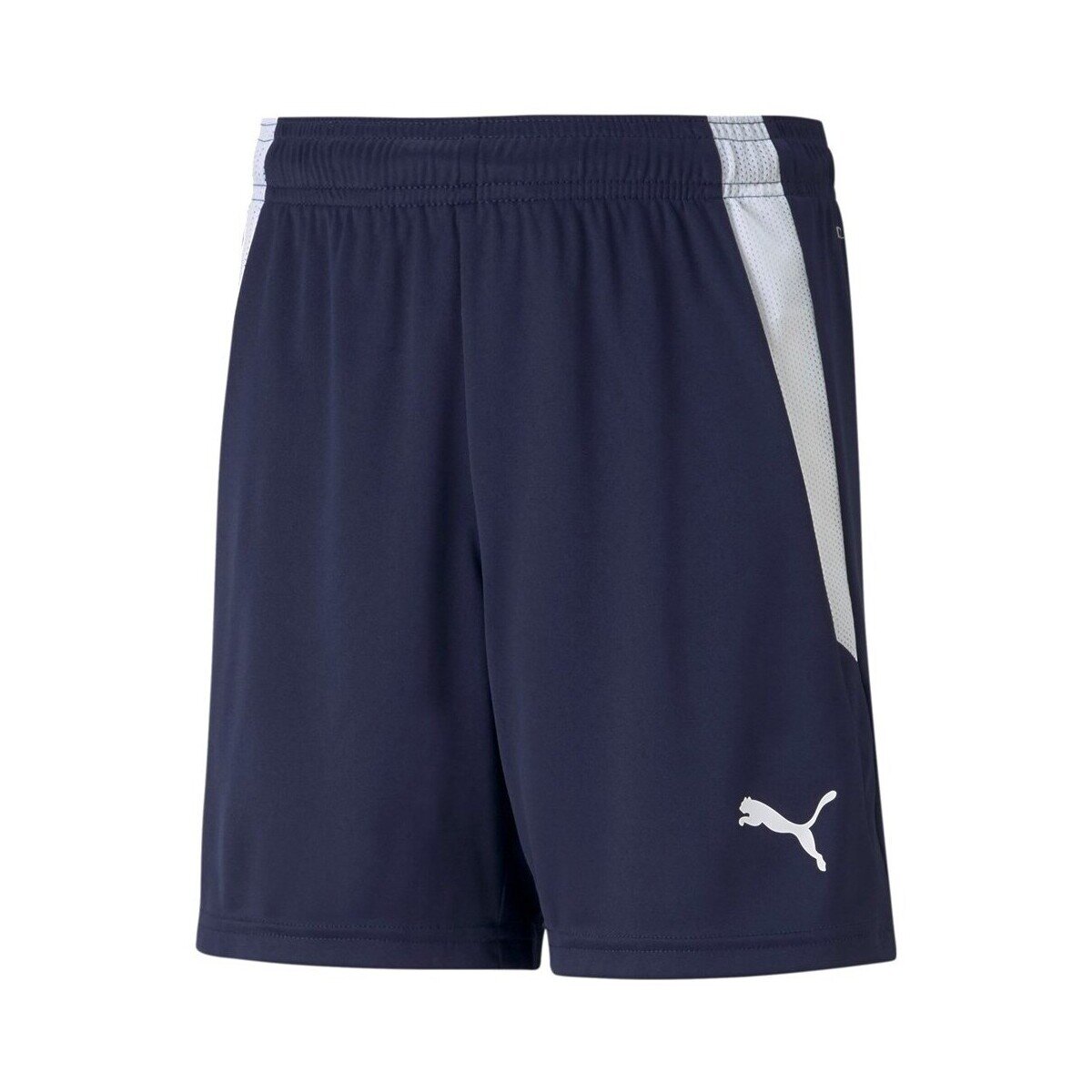 Puma Îmbracaminte Teamliga