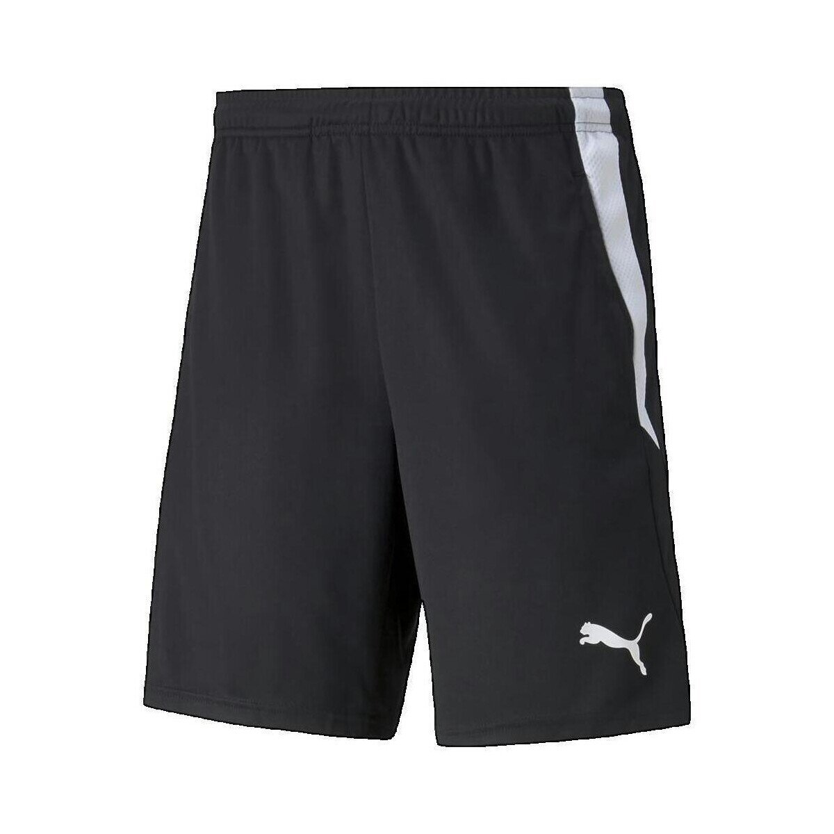Puma Îmbracaminte Teamliga