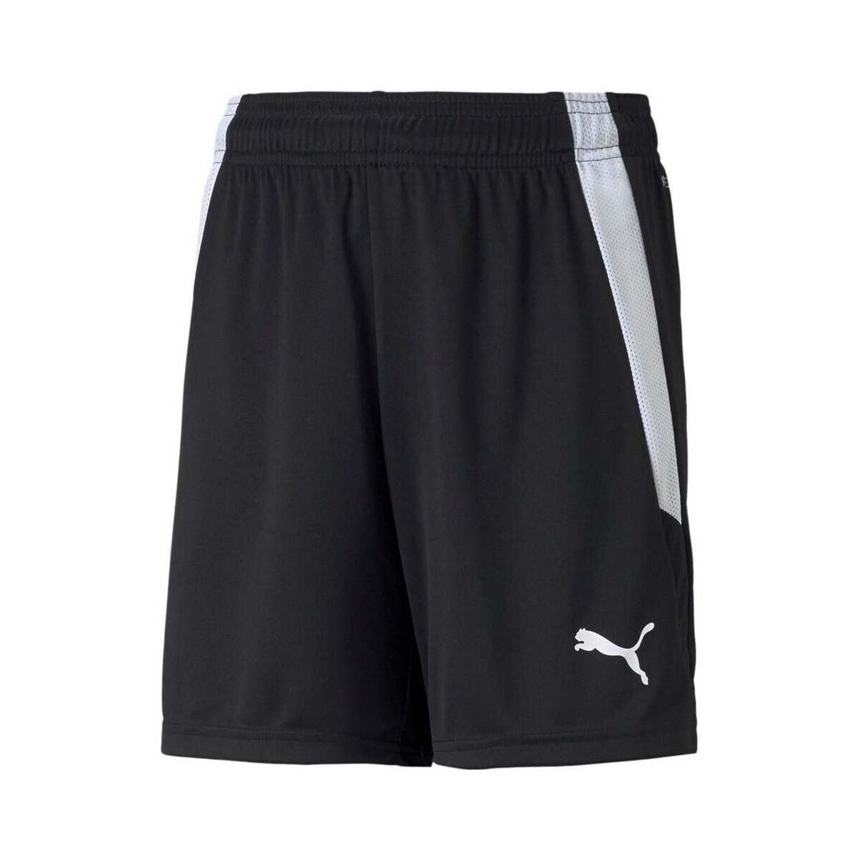 Puma Îmbracaminte Teamliga