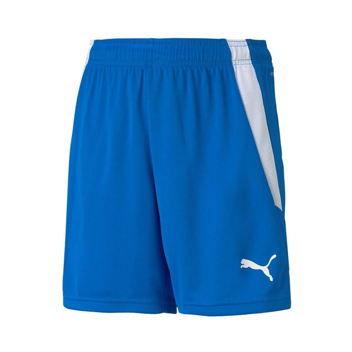Puma Îmbracaminte Teamliga